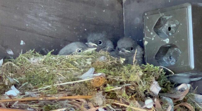 auch-diese-doch-etwas-anderen-junioren-wissen-wo-das-schönste-plätzchen-ist-natürlich-am-see-im-syh